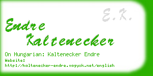 endre kaltenecker business card